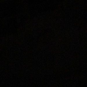 Meet your Posher, Mia